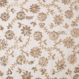 Mesh Embroidered  Sequins Liz Champagne