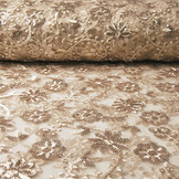 Mesh Embroidered  Sequins Liz Champagne
