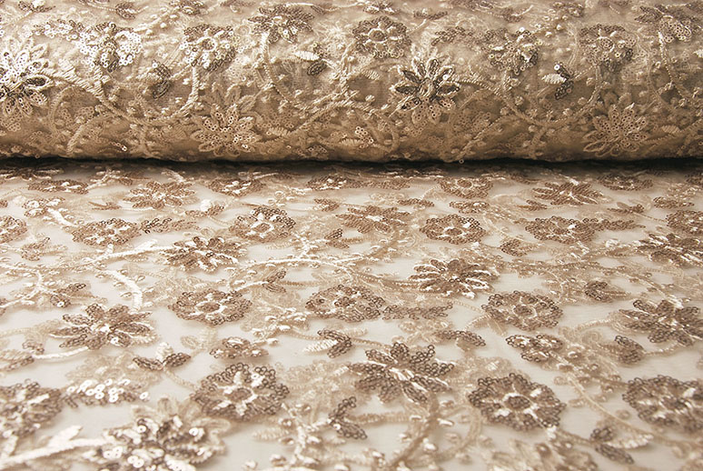Mesh Embroidered Sequins Liz Champagne