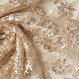 Mesh Embroidered  Sequins Liz Champagne