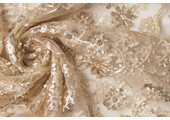 Mesh Embroidered  Sequins Liz Champagne