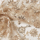 Mesh Embroidered  Sequins Liz Champagne