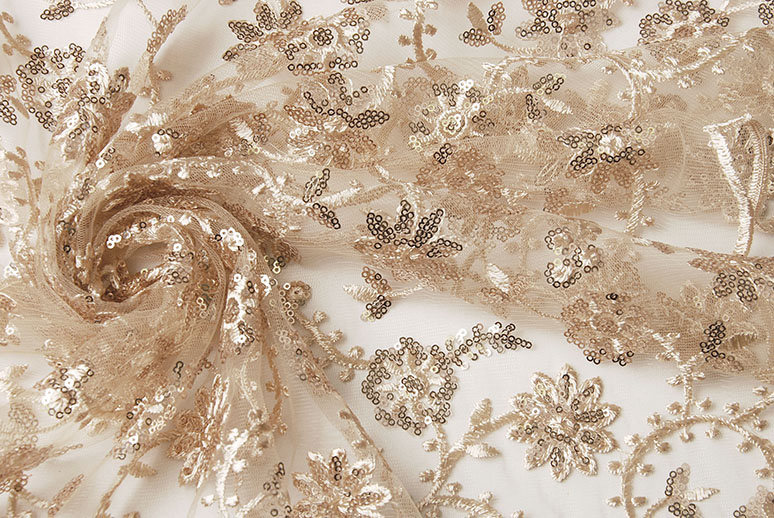Mesh Embroidered Sequins Liz Champagne