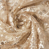Mesh Embroidered  Sequins Liz Champagne