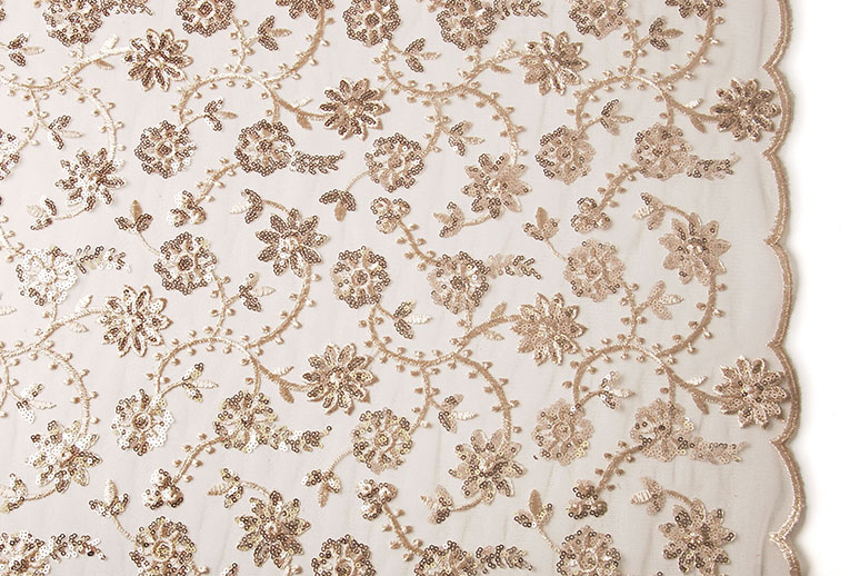 Mesh Embroidered Sequins Liz Champagne