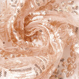 Mesh Embroidered  Sequins Lina Salmon