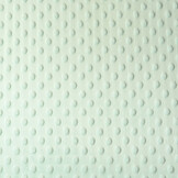 Minky Fleece Licht Mint Groen