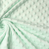 Minky Fleece Light Mint Green