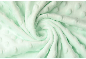 Minky Fleece Hell Minzgrün