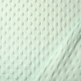 Minky Fleece Light Mint Green