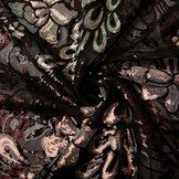 Pailletten op Mesh Jamella Zwart