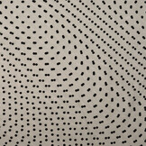 Fine Tulle Little Dots Black