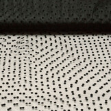 Fine Tulle Little Dots Black
