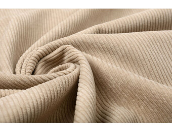 Rib Fabric 8 W Corduroy Champagne