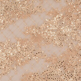 Mesh Embroidered  Sequins Quenya Champagne