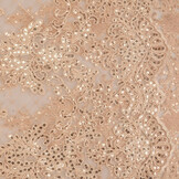 Mesh Embroidered  Sequins Quenya Champagne