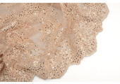 Mesh Embroidered  Sequins Quenya Champagne