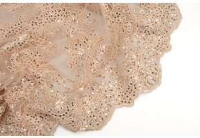 Mesh Embroidered  Sequins Quenya Champagne