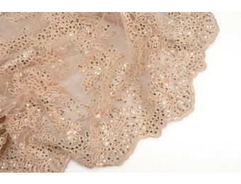 Netz Bestickt Pailletten Quenya Champagne
