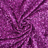 Sequins on Velvet Purple