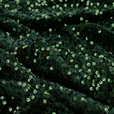 Pailletten op Velours Donker Groen