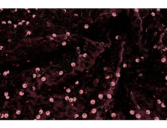 Pailletten auf Samt Bordeaux