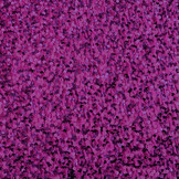 Sequins on Velvet Cyclamen