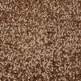 Sequins on Velvet Mocha Brown