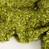 Sequins on Velvet Moss Green