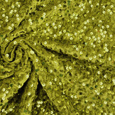 Sequins on Velvet Moss Green