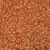 Sequins on Velvet Orange Brique