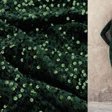 Sequins on Velvet Dark Green
