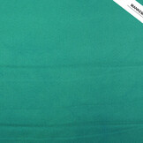Supple Poly Crepe Sea Green