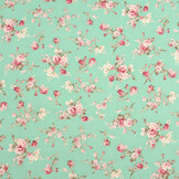 Chiffon Bedrukt Nadine Mint Groen