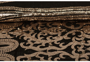 Sequins on Mesh Yanissa