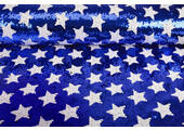 Pailletten  American Stars