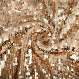 Reversible Sequin on Mesh Champagne-Creme