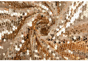 Omkeerbare Pailletten op Mesh Champagne-Creme