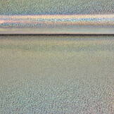 Lamé Holographic Sparkle  Silver
