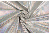Lamé Holographic Sparkle  Silver