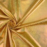 Lamé Holographic Sparkle Gold