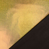 Lamé Holografisch Sparkle Gold