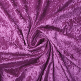 Pannesamt Alpenveilchen