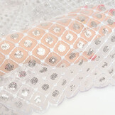 Mesh Embroidered Sequins  Chaira White