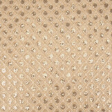 Mesh Geborduurd Pailletten Chiara Beige