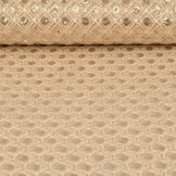Mesh Embroidered Sequins  Chaira Beige