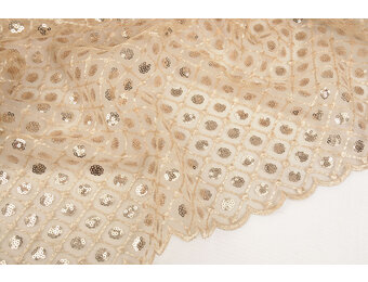 Mesh Embroidered Sequins  Chaira Beige