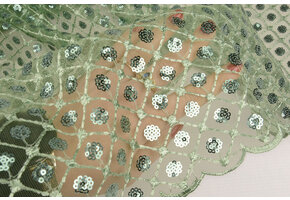 Mesh Geborduurd Pailletten Chiara Oud Groen