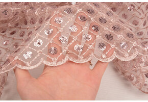 Mesh Embroidered Sequins  Chaira Powder Pink