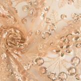 Mesh Embroidered Sequins Rosetta Champagne Beige